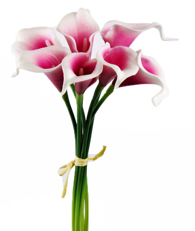 Picture of Calla Lily Bundle x 7 Real Touch 14"